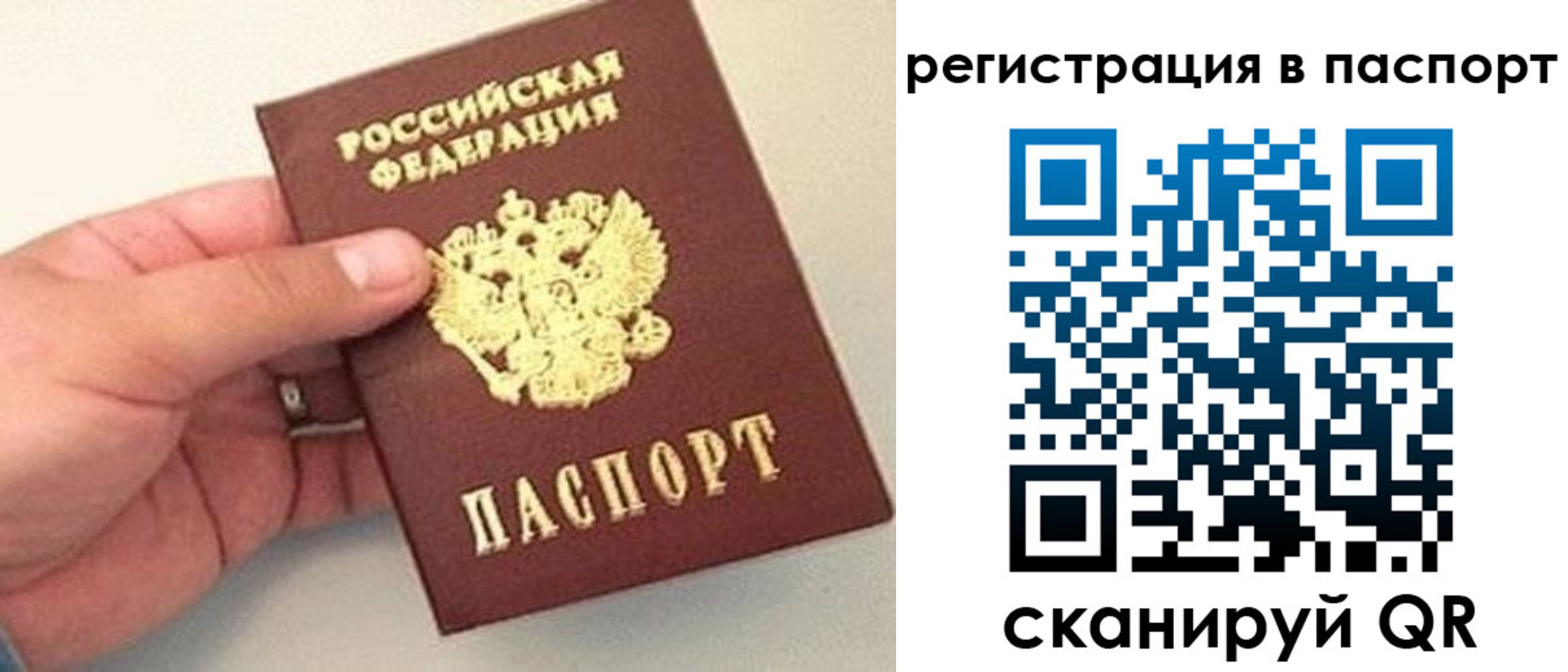 прописка законно в Назрани